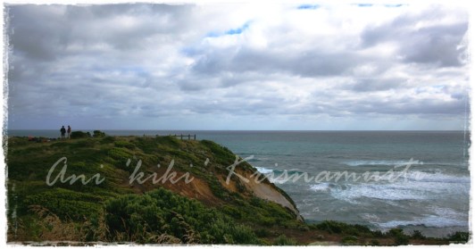 20.cape otway