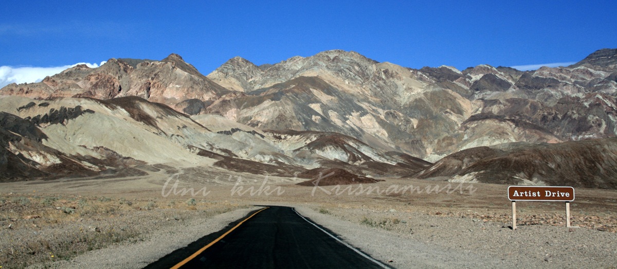 dvb102 --artist drive