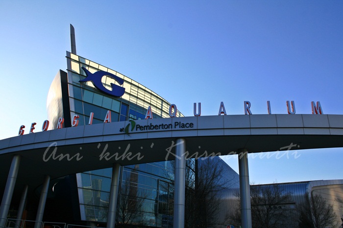 georgia aquarium
