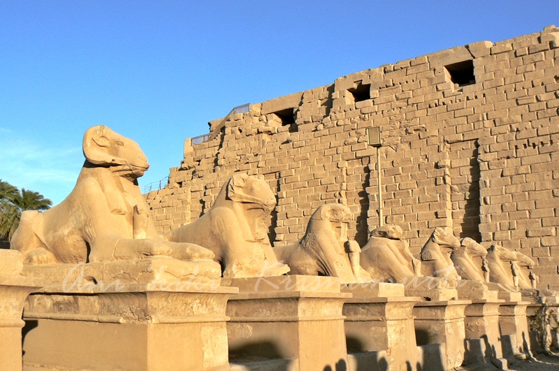 5P1000812avenue of ram headed sphinxes-