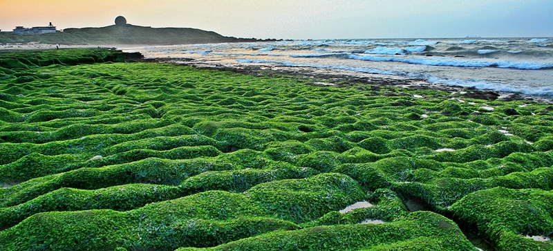 laomei algal reef,new taipei