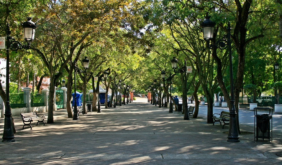 Paseo de La Princesa