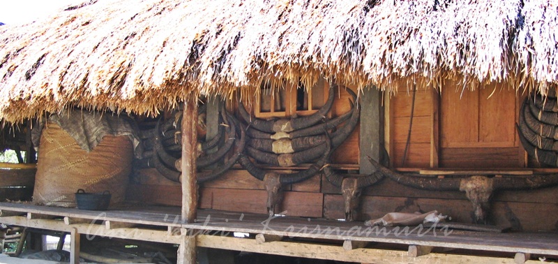 Sumba-house2