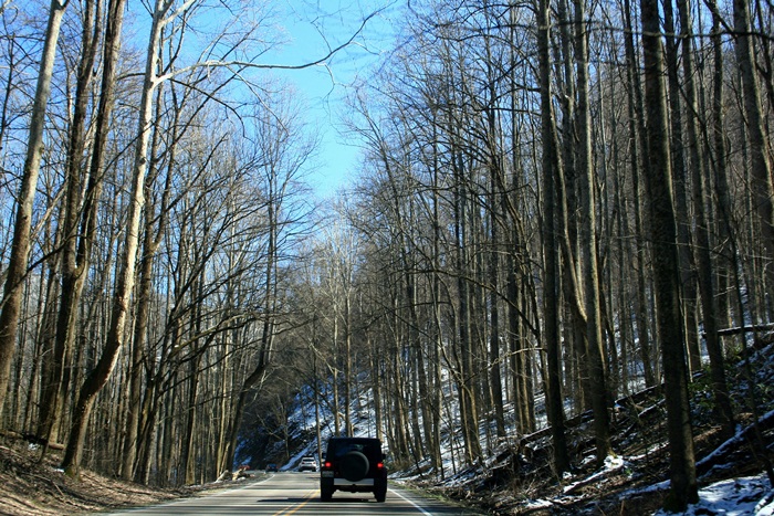 GREAT SMOKY Mt NP