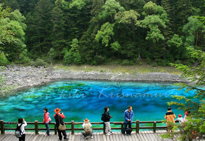 53.FIVE COLOURED POOL