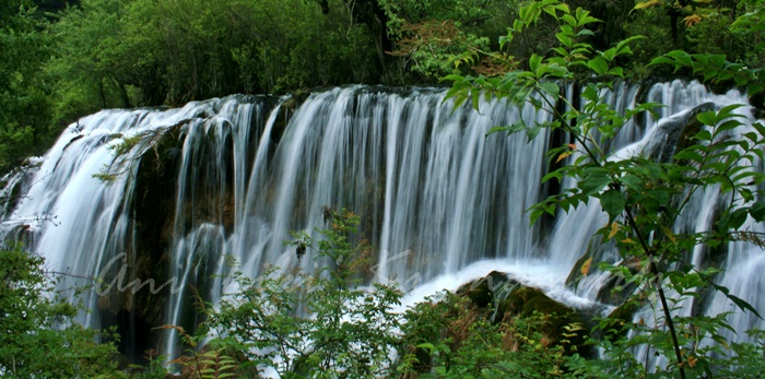 64.SHUZHENG FALL-2