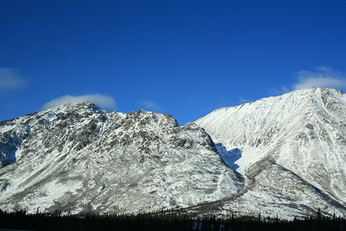 denali national park