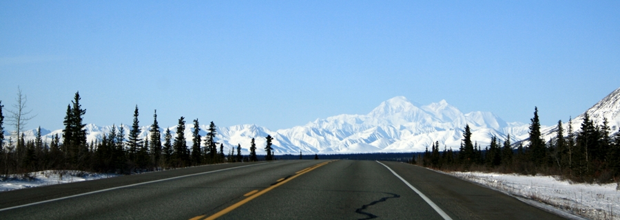 mt denali