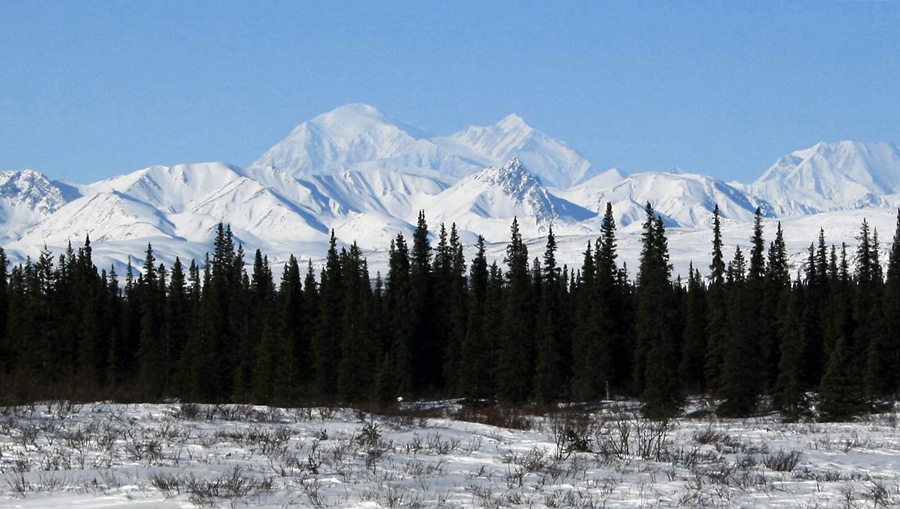  Mount McKinley (Denali)