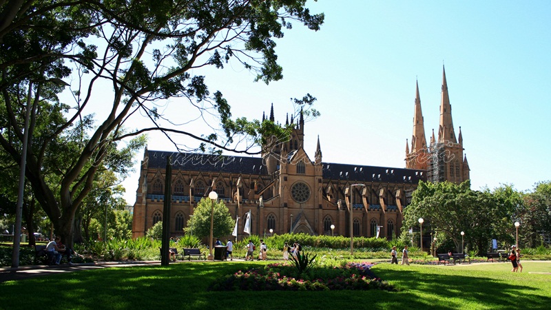 st mary's cathedral