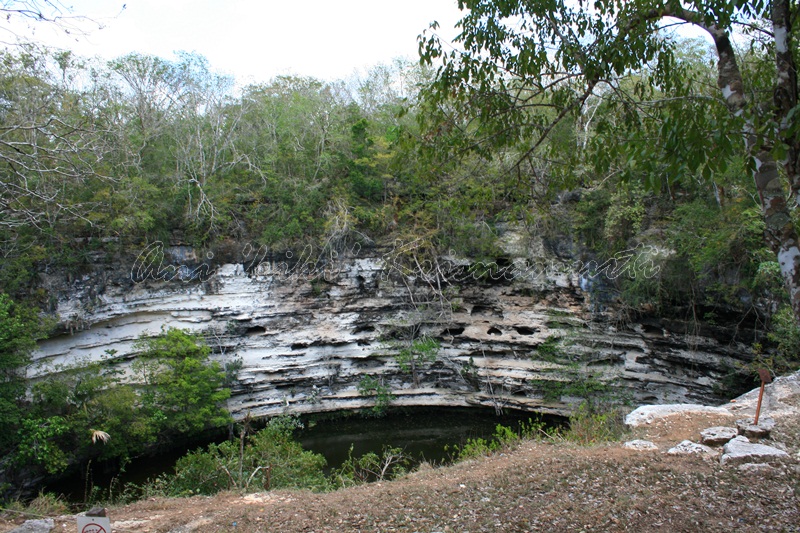 cenote sagrado-sacred cenote
