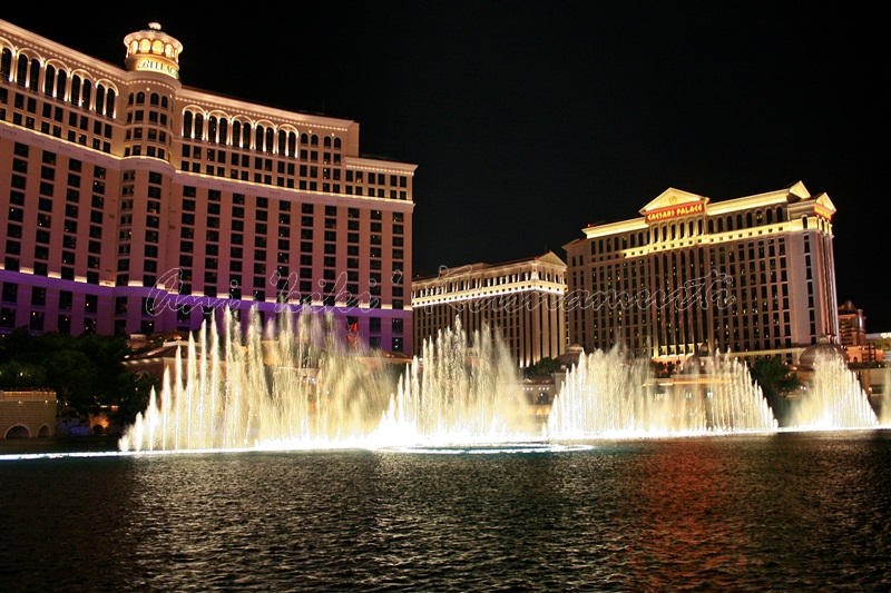 5.Bellagio Fountain