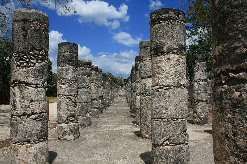 Group of a Thousand Columns