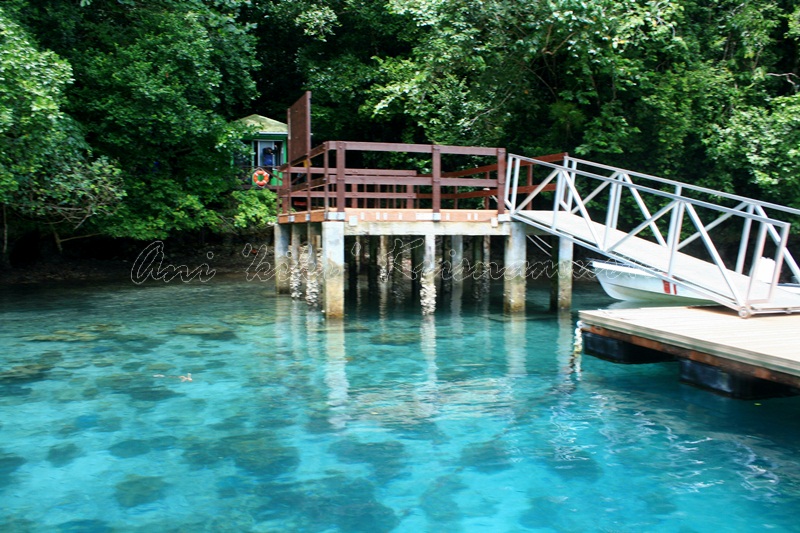 4.JELYFISH LAKE_entrance