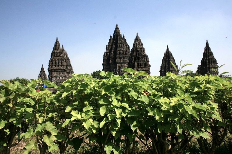 prambanan temple