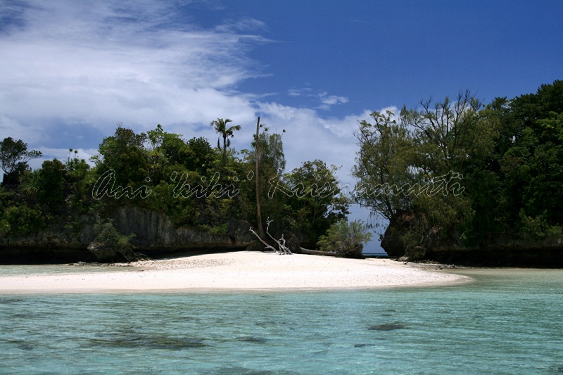 coconut island