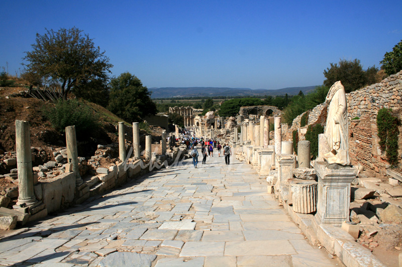 CURETES STREET