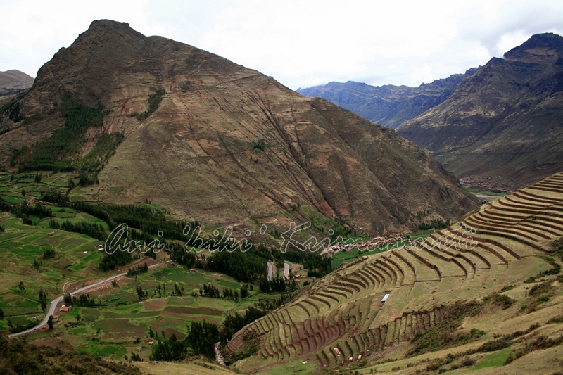 PISAC-terrace farmland