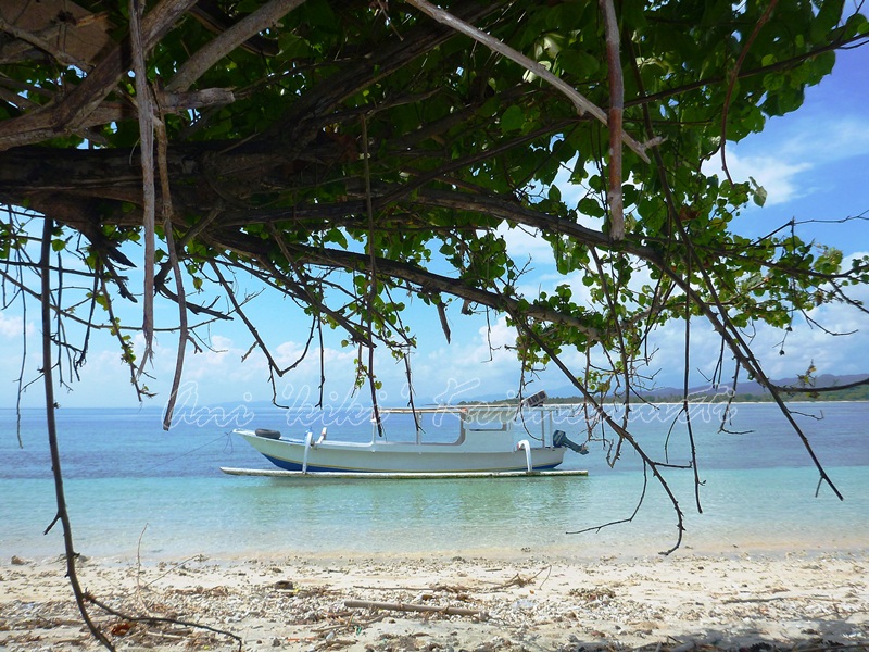 gili layar