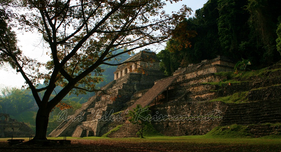 beautiful palenque