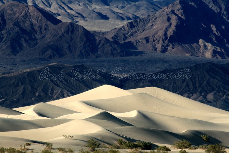 sand dunes