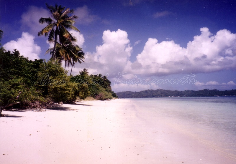 wakatobi island