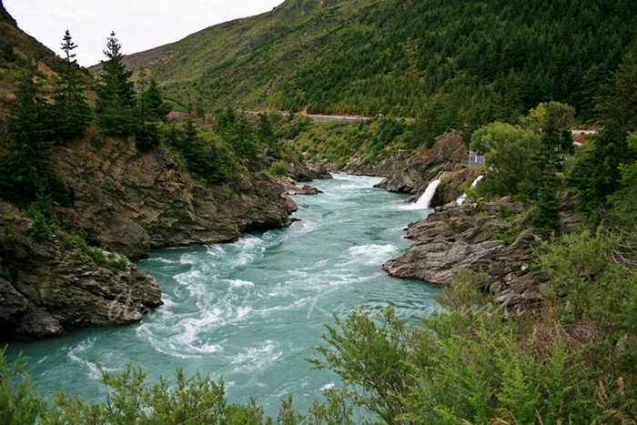 picton,kaikoura,lake tekapo,tekapo,milfourd sound