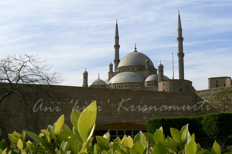 cairo,dahab,alexandria