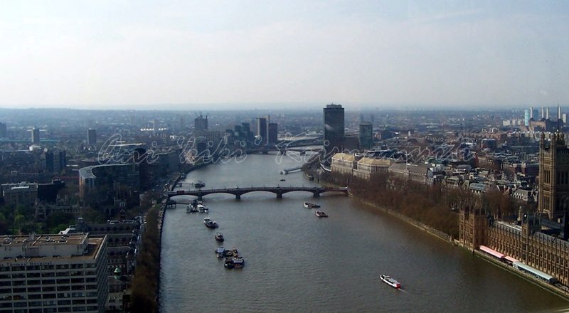 thames river taken from london eye