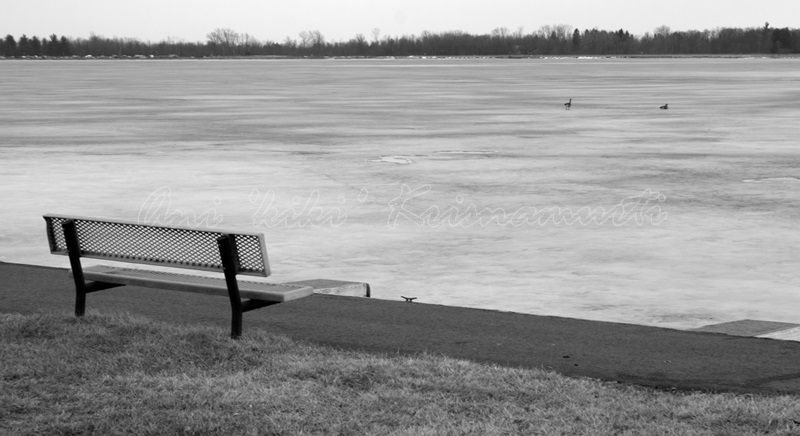 stony creek, MI, USA