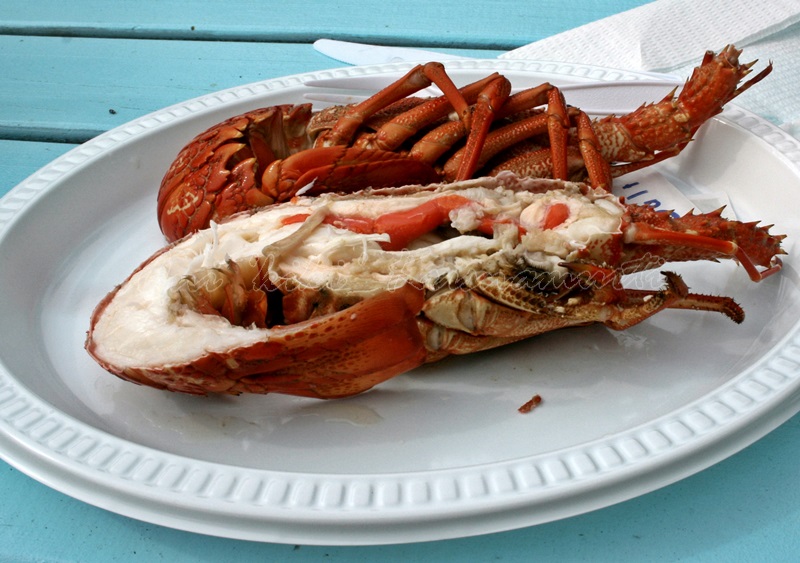 crayfish, kaikoura, new zealand