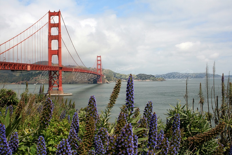 golden gate bridge, san francisco, US