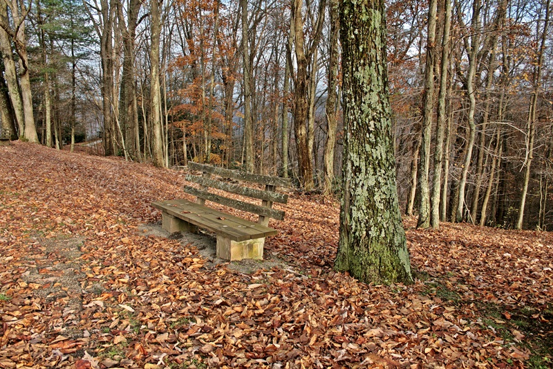 new river gorge nat river, WV, USA