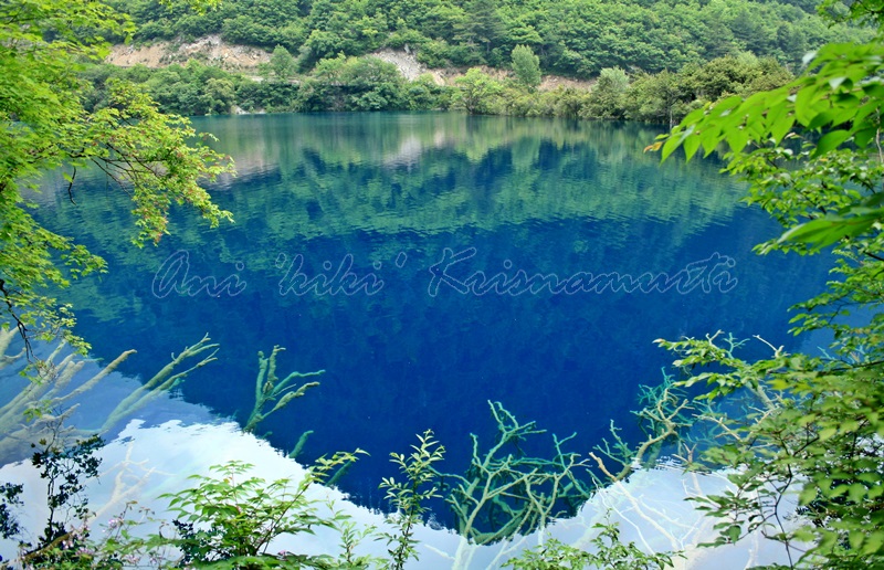 swan lake, jiuzhaigou, china