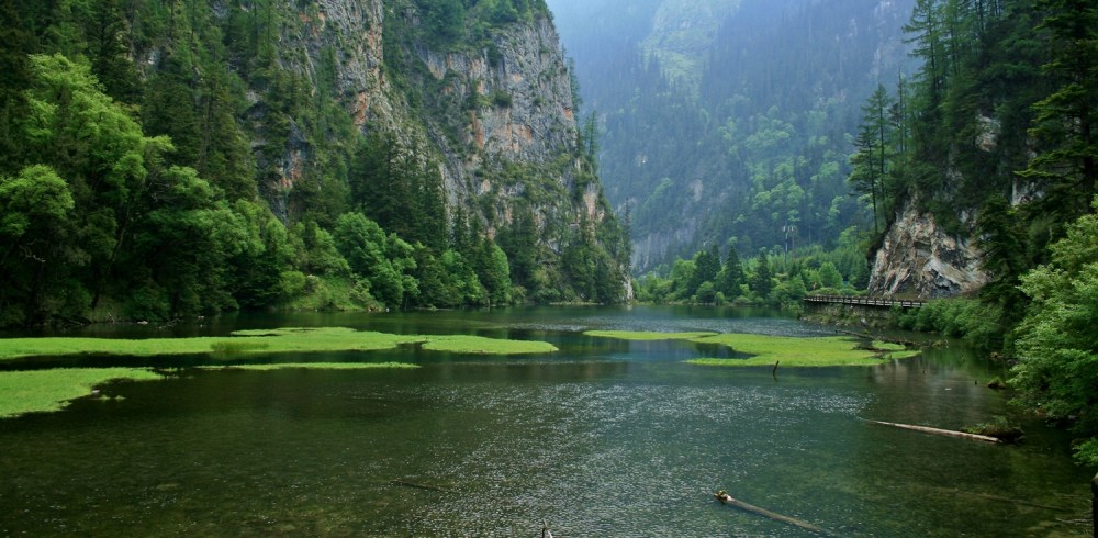 swan lake, jiuzhaigou, china