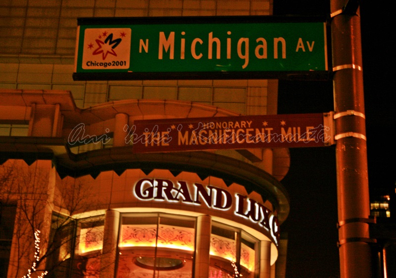 michigan avenue, chicago,IL,USA