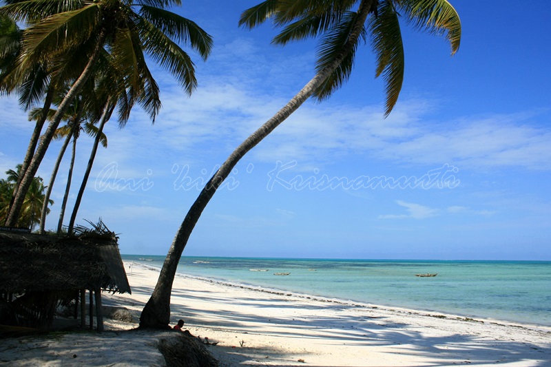 jambiani, zanzibar, tanzania
